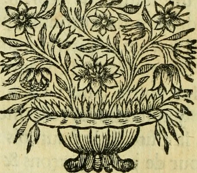 An illustration from Remarques critiques sur les oeuvres d'Horace : avec une nouvelle traduction .., 1681, leaf 11