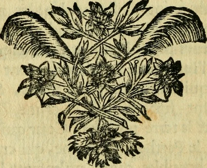 An illustration from Remarques critiques sur les oeuvres d'Horace : avec une nouvelle traduction .., 1681, leaf 151