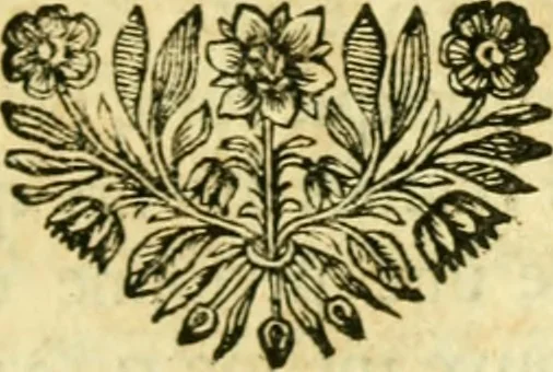 An illustration from Remarques critiques sur les oeuvres d'Horace : avec une nouvelle traduction .., 1681, leaf 306
