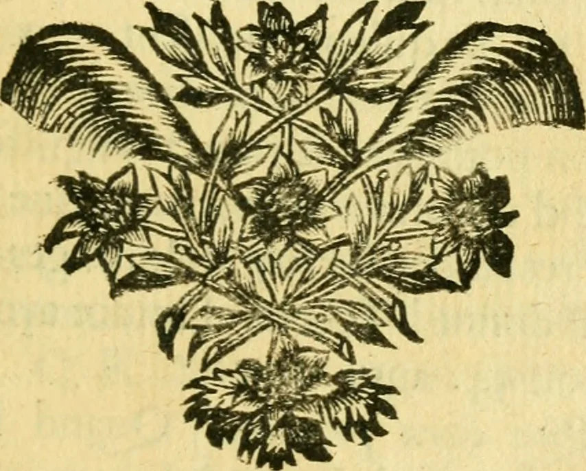 An illustration from Remarques critiques sur les oeuvres d'Horace : avec une nouvelle traduction .., 1681, leaf 324
