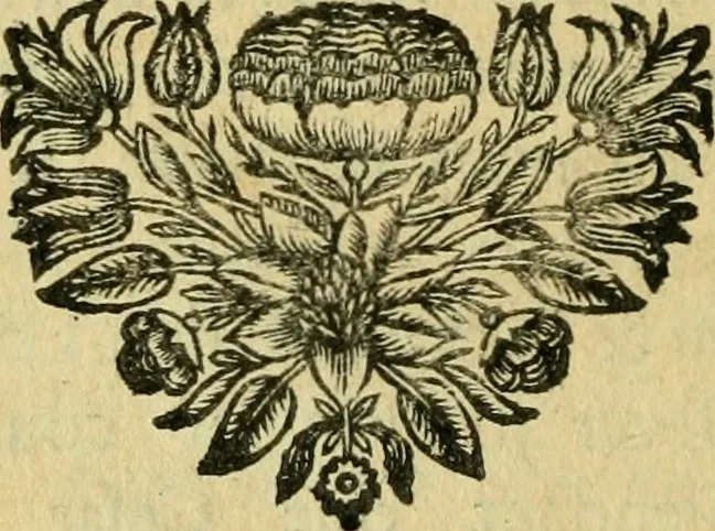 An illustration from Remarques critiques sur les oeuvres d'Horace : avec une nouvelle traduction .., 1681, leaf 353