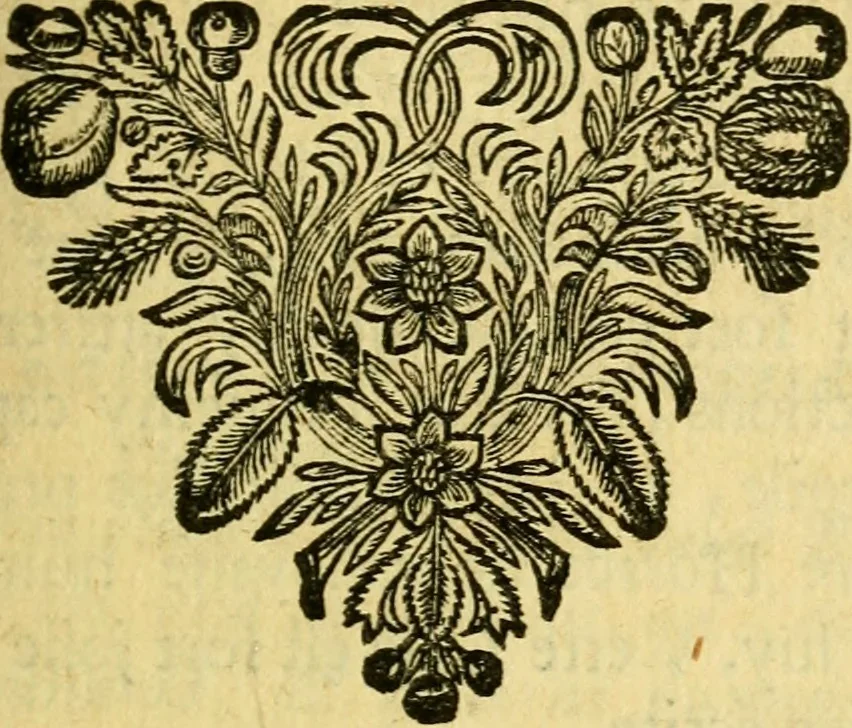 An illustration from Remarques critiques sur les oeuvres d'Horace : avec une nouvelle traduction .., 1681, leaf 206