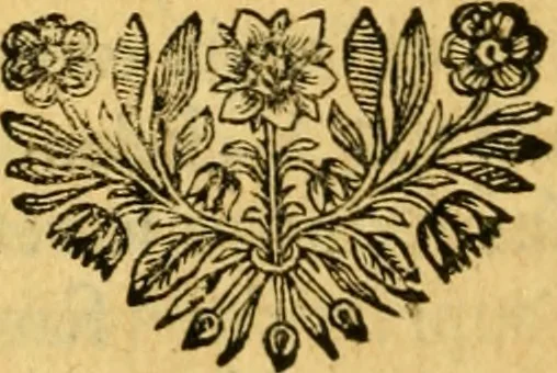 An illustration from Remarques critiques sur les oeuvres d'Horace : avec une nouvelle traduction .., 1681, leaf 223