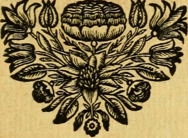 An illustration from Remarques critiques sur les oeuvres d'Horace : avec une nouvelle traduction .., 1681, leaf 242