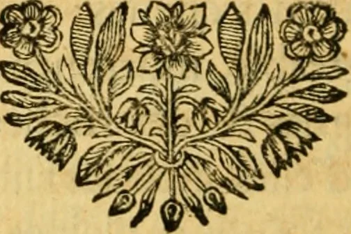 An illustration from Remarques critiques sur les oeuvres d'Horace : avec une nouvelle traduction .., 1681, leaf 307