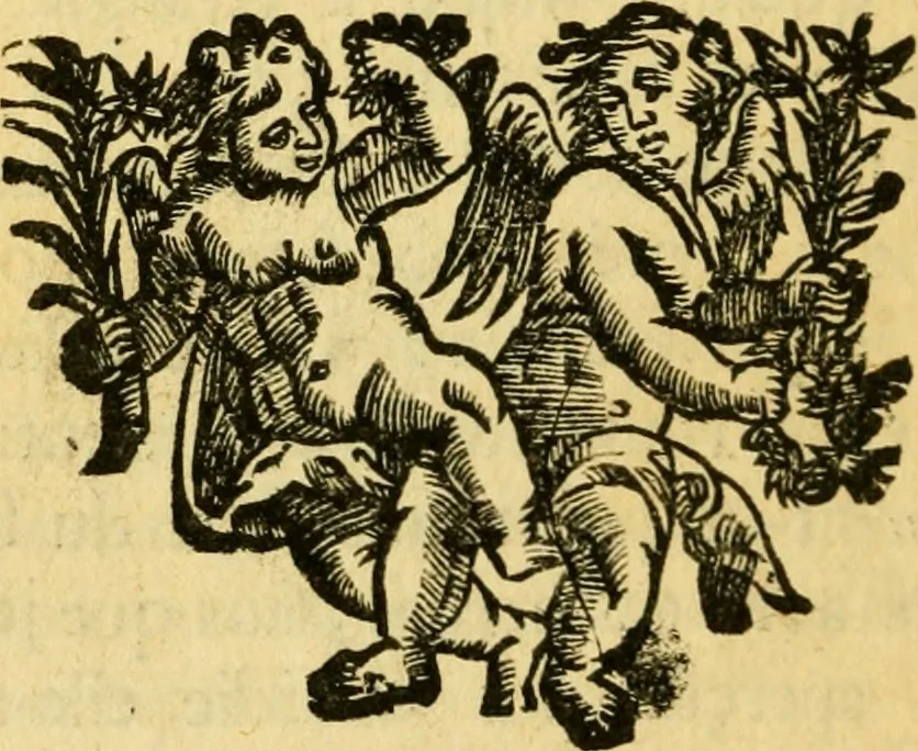 An illustration from Remarques critiques sur les oeuvres d'Horace : avec une nouvelle traduction .., 1681, leaf 75