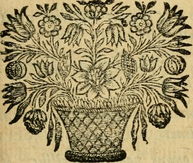 An illustration from Remarques critiques sur les oeuvres d'Horace : avec une nouvelle traduction .., 1681, leaf 318