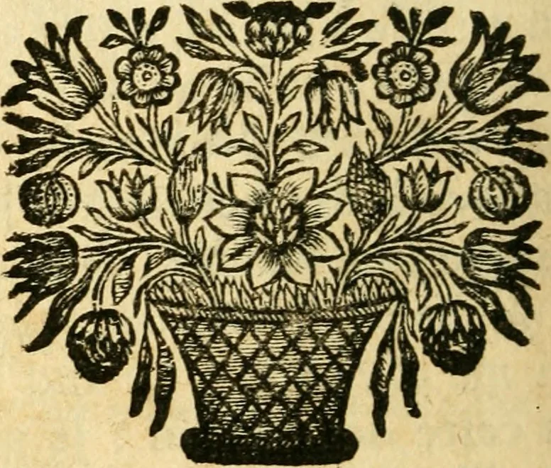 An illustration from Remarques critiques sur les oeuvres d'Horace : avec une nouvelle traduction .., 1681, leaf 481