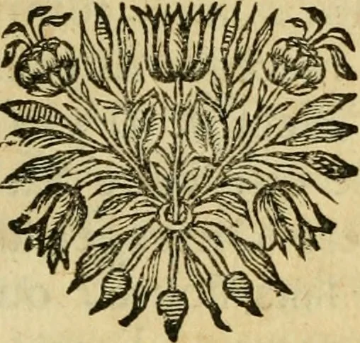 An illustration from Remarques critiques sur les oeuvres d'Horace : avec une nouvelle traduction .., 1681, leaf 536