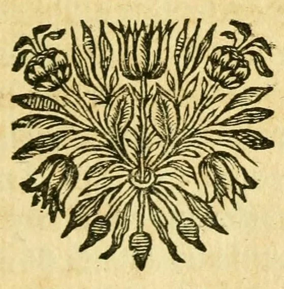 An illustration from Remarques critiques sur les oeuvres d'Horace : avec une nouvelle traduction .., 1681, leaf 403