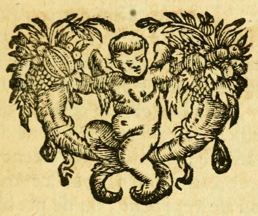 An illustration from Remarques critiques sur les oeuvres d'Horace : avec une nouvelle traduction .., 1681, leaf 517