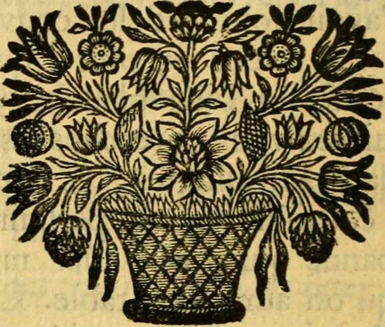 An illustration from Remarques critiques sur les oeuvres d'Horace : avec une nouvelle traduction .., 1681, leaf 261
