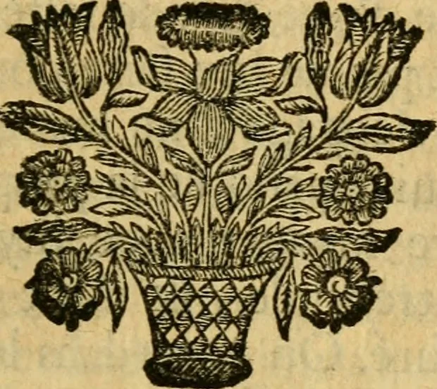 An illustration from Remarques critiques sur les oeuvres d'Horace : avec une nouvelle traduction .., 1681, leaf 262