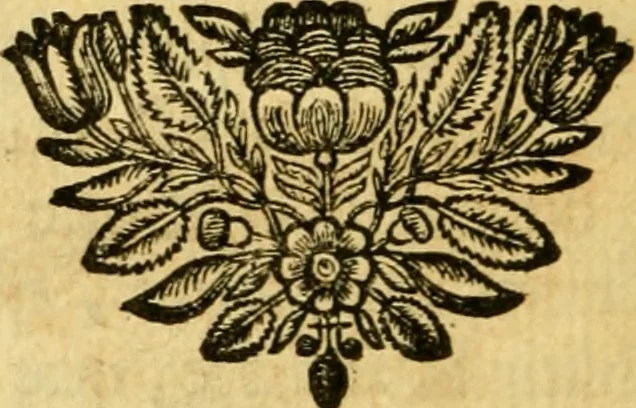 An illustration from Remarques critiques sur les oeuvres d'Horace : avec une nouvelle traduction .., 1681, leaf 31
