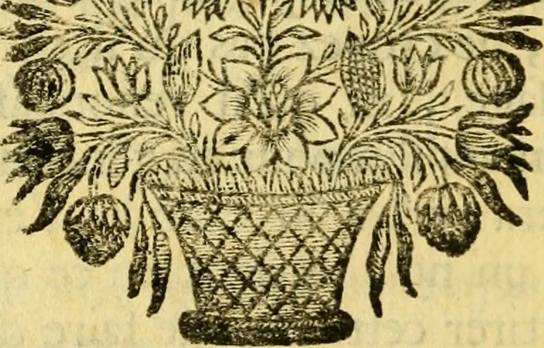 An illustration from Remarques critiques sur les oeuvres d'Horace : avec une nouvelle traduction .., 1681, leaf 83