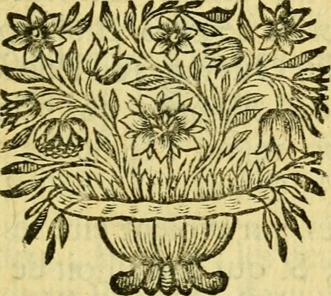 An illustration from Remarques critiques sur les oeuvres d'Horace : avec une nouvelle traduction .., 1681, leaf 84