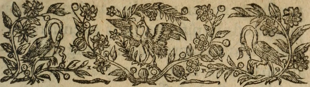 An illustration from Remarques des blasphemes, errevrs, et impostvres contenus au liure du Ministre Loque : de n'agueres publié sous tiltre des Abus de la Messe, 1598, leaf 8