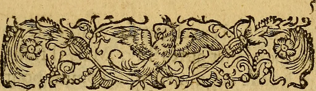 An illustration from Remarques d'estat et d'histoire, svr la vie et les seruices de monsievr de Villeroy., 1618, leaf 4