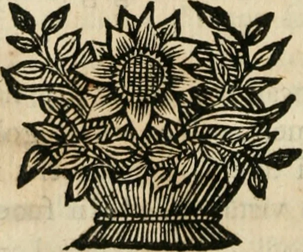 An illustration from Remarques historiques sur les medailles et les monnoyes, 1740, leaf 107