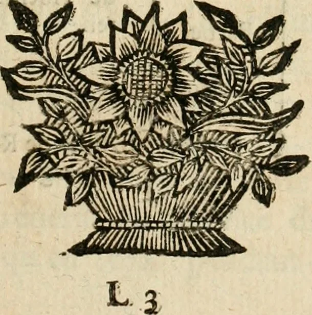An illustration from Remarques historiques sur les medailles et les monnoyes, 1740, leaf 124