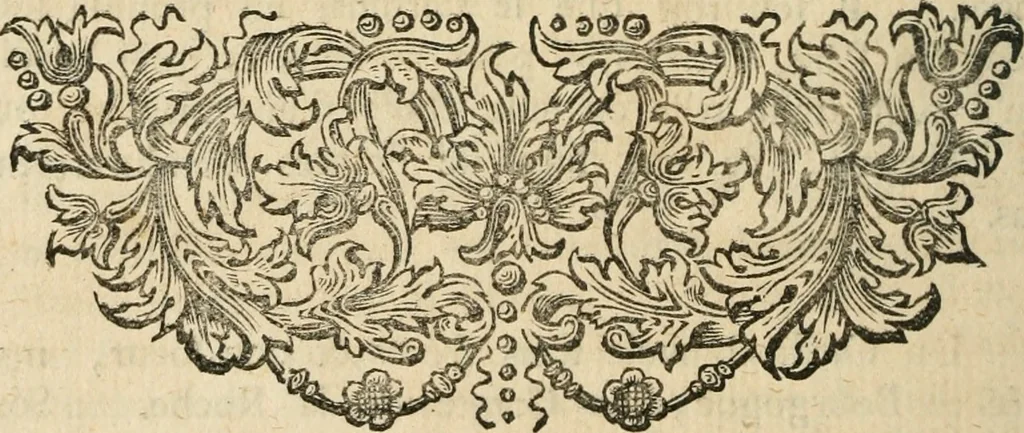 An illustration from Remarques historiques sur les medailles et les monnoyes, 1740, leaf 249