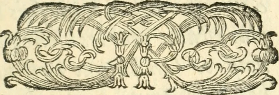 An illustration from Remarqves necessaires pour la culture des flevrs. La maniere avec laquelle il les faut cultiver, & les ouvrages qu'il faut faire selon chaque mois de l'année. Avec une methode facile pour faire toutes sortes de palissades, bosquets, & autres ornemens qui servent à l'embellissement des jardins de plaisir; & un catalogue des plantes les plus rares: le tout diligemment observé, 1678, leaf 12