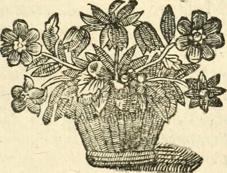 An illustration from Remarqves necessaires pour la culture des flevrs. La maniere avec laquelle il les faut cultiver, & les ouvrages qu'il faut faire selon chaque mois de l'année. Avec une methode facile pour faire toutes sortes de palissades, bosquets, & autres ornemens qui servent à l'embellissement des jardins de plaisir; & un catalogue des plantes les plus rares: le tout diligemment observé, 1678, leaf 14