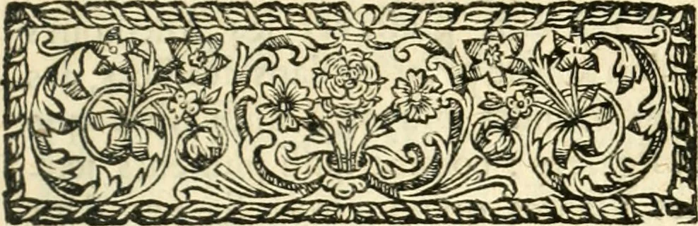 An illustration from Remarqves necessaires pour la culture des flevrs. La maniere avec laquelle il les faut cultiver, & les ouvrages qu'il faut faire selon chaque mois de l'année. Avec une methode facile pour faire toutes sortes de palissades, bosquets, & autres ornemens qui servent à l'embellissement des jardins de plaisir; & un catalogue des plantes les plus rares: le tout diligemment observé, 1678, leaf 22
