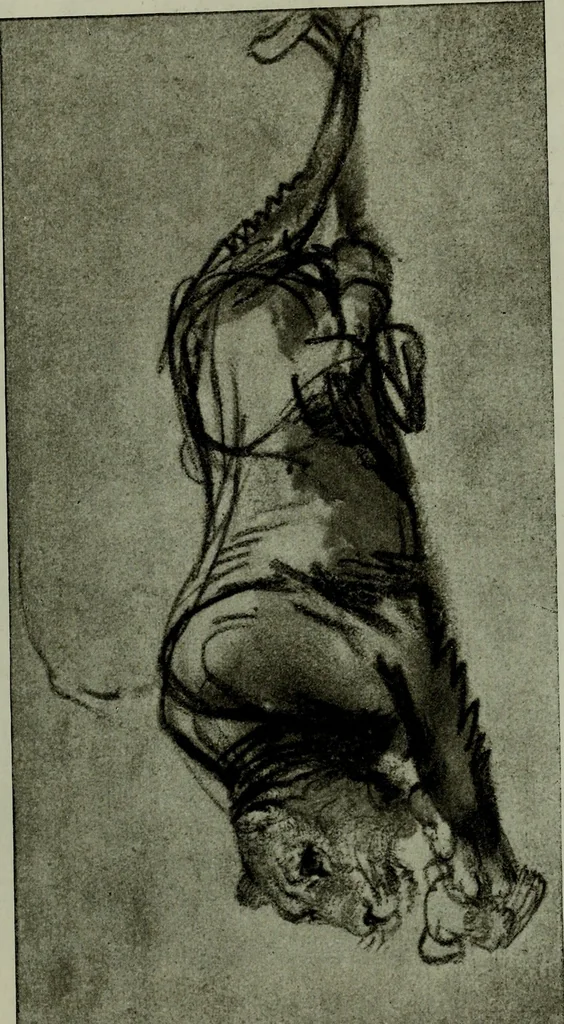 An illustration from Rembrandt handzeichnungen, 1919, leaf 52