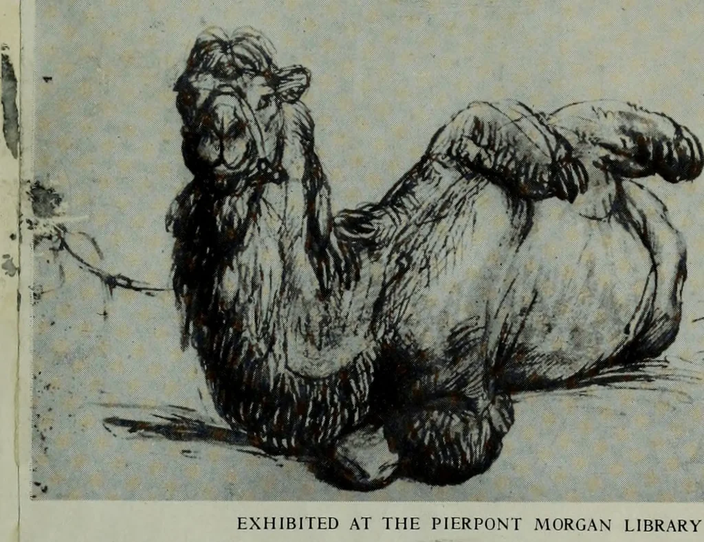 An illustration from Rembrandt handzeichnungen, 1919, leaf 6