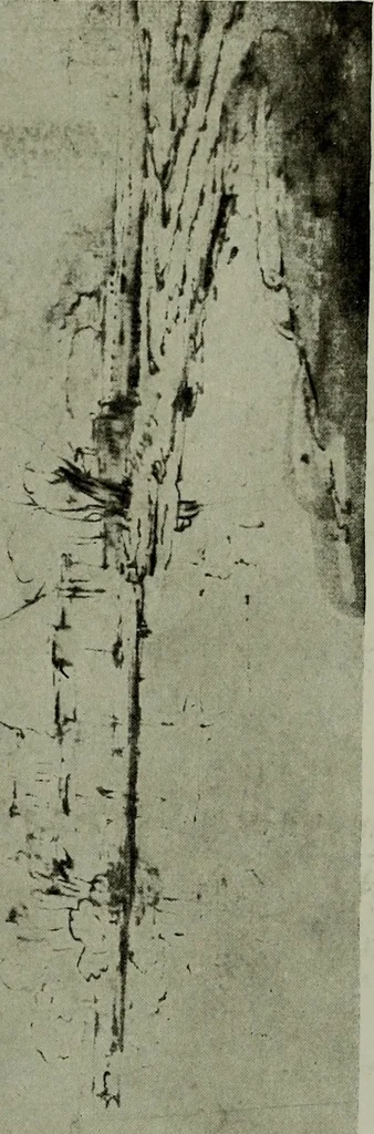 An illustration from Rembrandt handzeichnungen, 1919, leaf 66