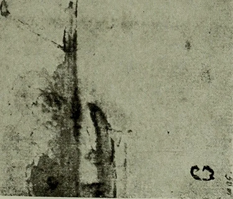 An illustration from Rembrandt handzeichnungen, 1919, leaf 66