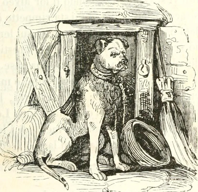 An illustration from Reminescenze e fantasie, 1841, leaf 118