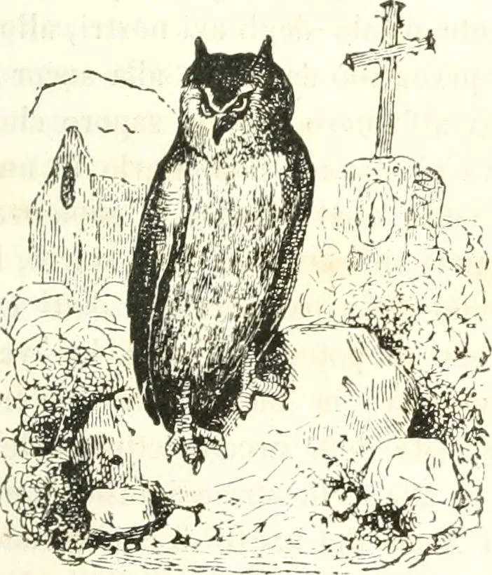 An illustration from Reminescenze e fantasie, 1841, leaf 166