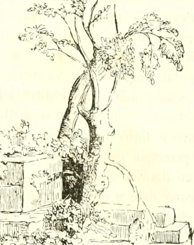 An illustration from Reminescenze e fantasie, 1841, leaf 285