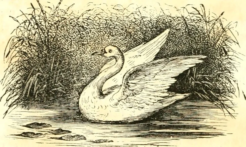 An illustration from Reminescenze e fantasie, 1841, leaf 341