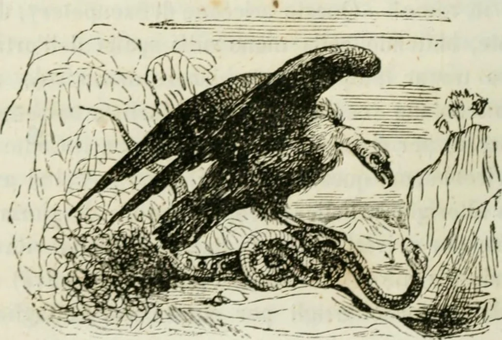 An illustration from Reminescenze e fantasie, 1841, leaf 99