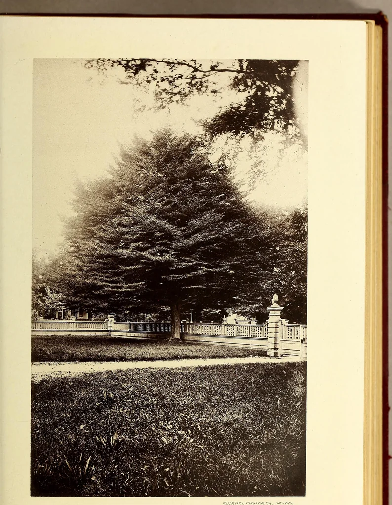 An illustration from Reminiscences of Newport ...Extra Illustrated. Edition B., 1884, leaf 270