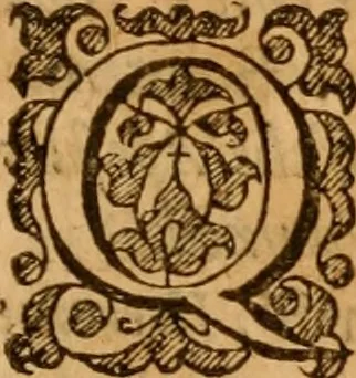 An illustration from A remonstrance against Presbitery : exhibited by divers of the nobilitie, gentrie, ministers and inhabitants of the County Palatine, of Chester with the motives of that remonstrance ... together with a short survey of the Presbyterian discipline .., 1641, leaf 134