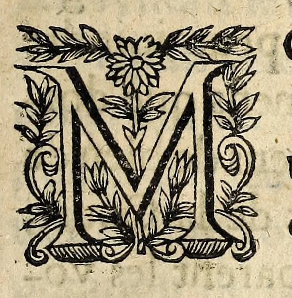 An illustration from Remonstrance à Monsieur,, 1631, leaf 3