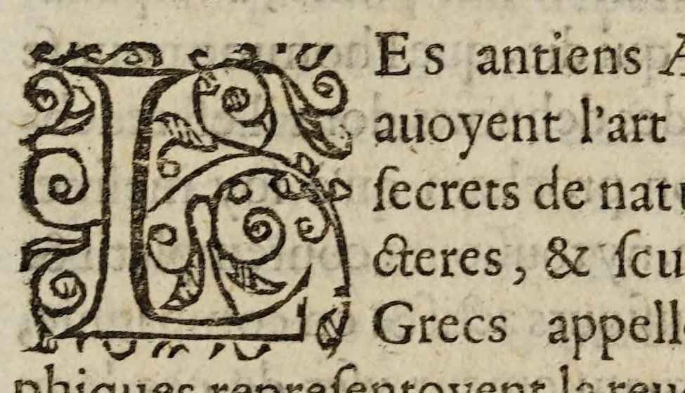 An illustration from Remonstrances, et discovrs faicts et prononcez en la cour, & chambre de l'edict establie à Castres d'Albigeois, pour le ressort de la cour de Parlement de Tholose:, 1597, leaf 119