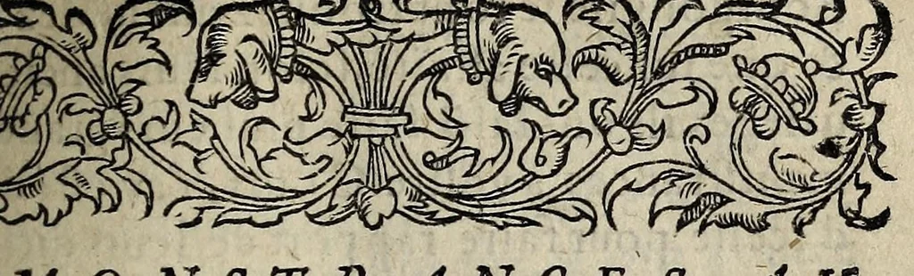 An illustration from Remonstrances av Roy des depvtez des trois estats de son Duché de Bourgongne sur l'edict de la pacification, par ou se monstre qu'en vn royaume deux religions ne se peuuent soustenir, & les maulx qui ordinairement aduiennent aux Roys & prouinces ou les heretiques sont permis & tolerez., 1563, leaf 3
