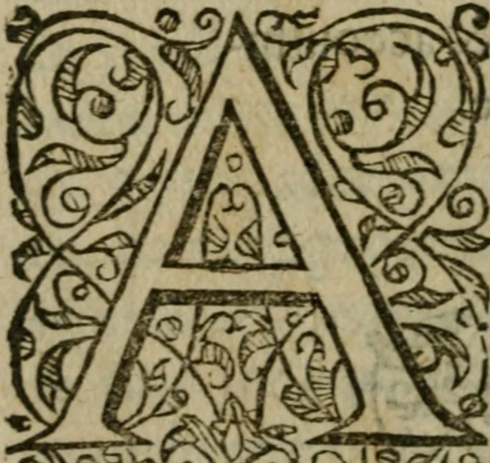 An illustration from Remonstrances et discours faicts et prononcez en la Cour & Chambre de l'edict establie à Castres d'Albigeois, pour le ressort de la Court de Parlement de Tholose, 1597, leaf 105