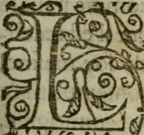 An illustration from Remonstrances et discours faicts et prononcez en la Cour & Chambre de l'edict establie à Castres d'Albigeois, pour le ressort de la Court de Parlement de Tholose, 1597, leaf 118