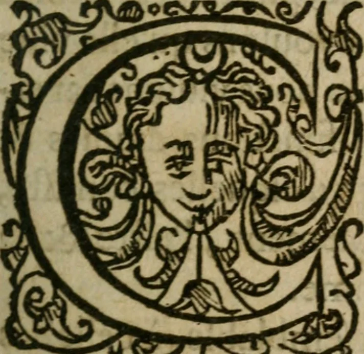 An illustration from Remonstrances et discours faicts et prononcez en la Cour & Chambre de l'edict establie à Castres d'Albigeois, pour le ressort de la Court de Parlement de Tholose, 1597, leaf 12