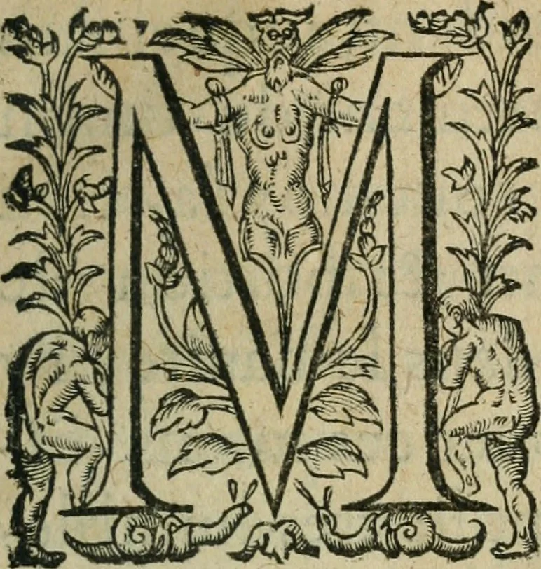 An illustration from Remonstrances tres-hvmbles a la Royne mere, regente en France, povr la conservation de l'estat pendant la minorité du Roy son fils, 1610, leaf 8