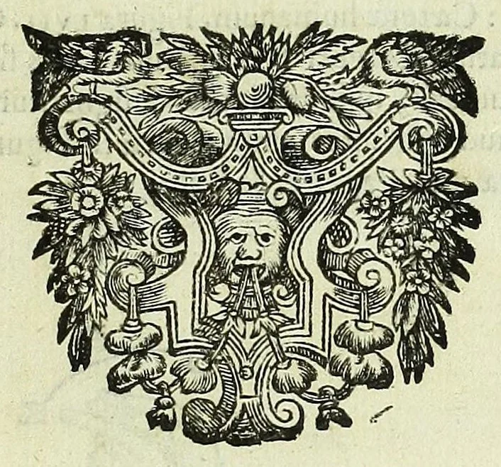 An illustration from Renatus des Cartes De homine figuris /, 1664, leaf 187