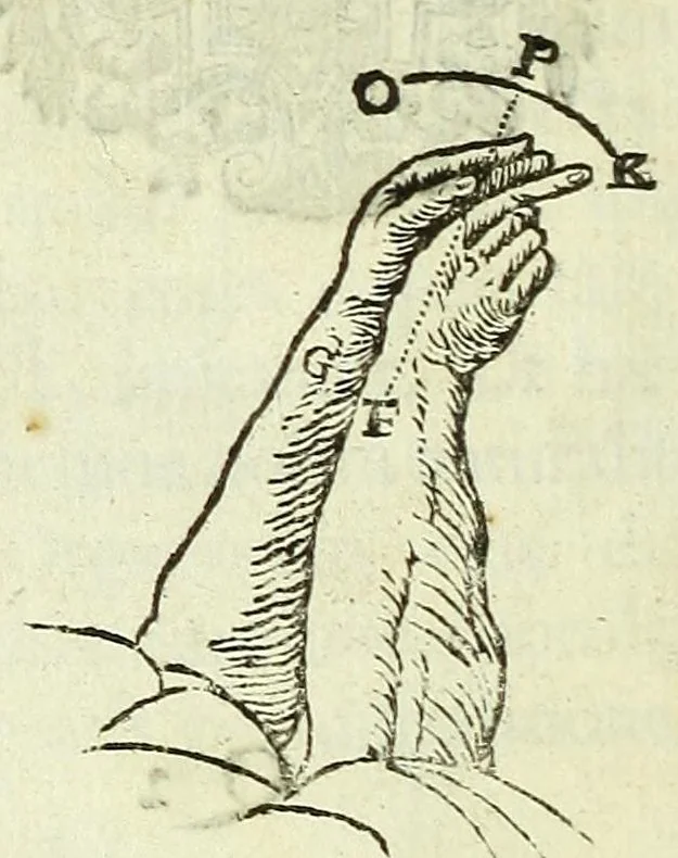 An illustration from Renatus des Cartes De homine figuris /, 1664, leaf 188