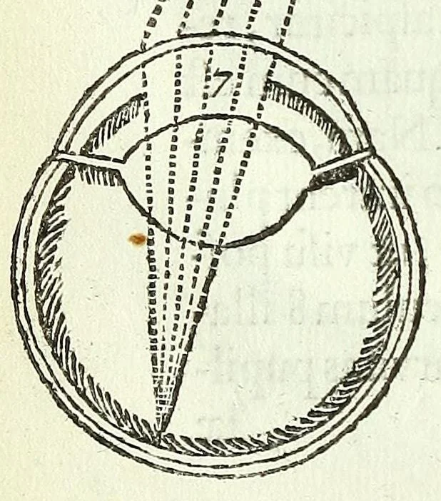 An illustration from Renatus des Cartes De homine figuris /, 1664, leaf 98