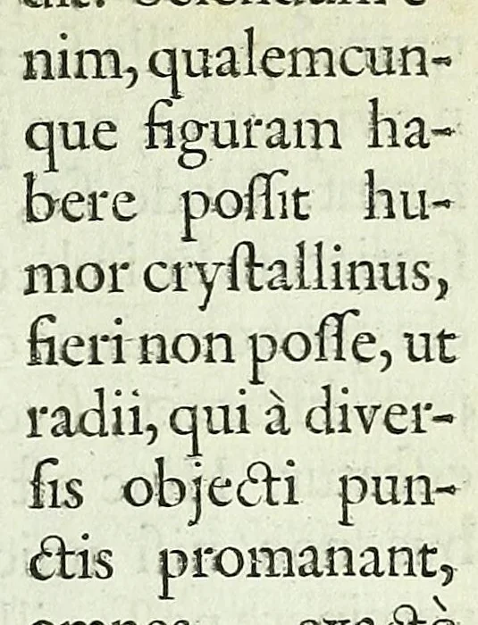 An illustration from Renatus des Cartes De homine figuris /, 1664, leaf 99
